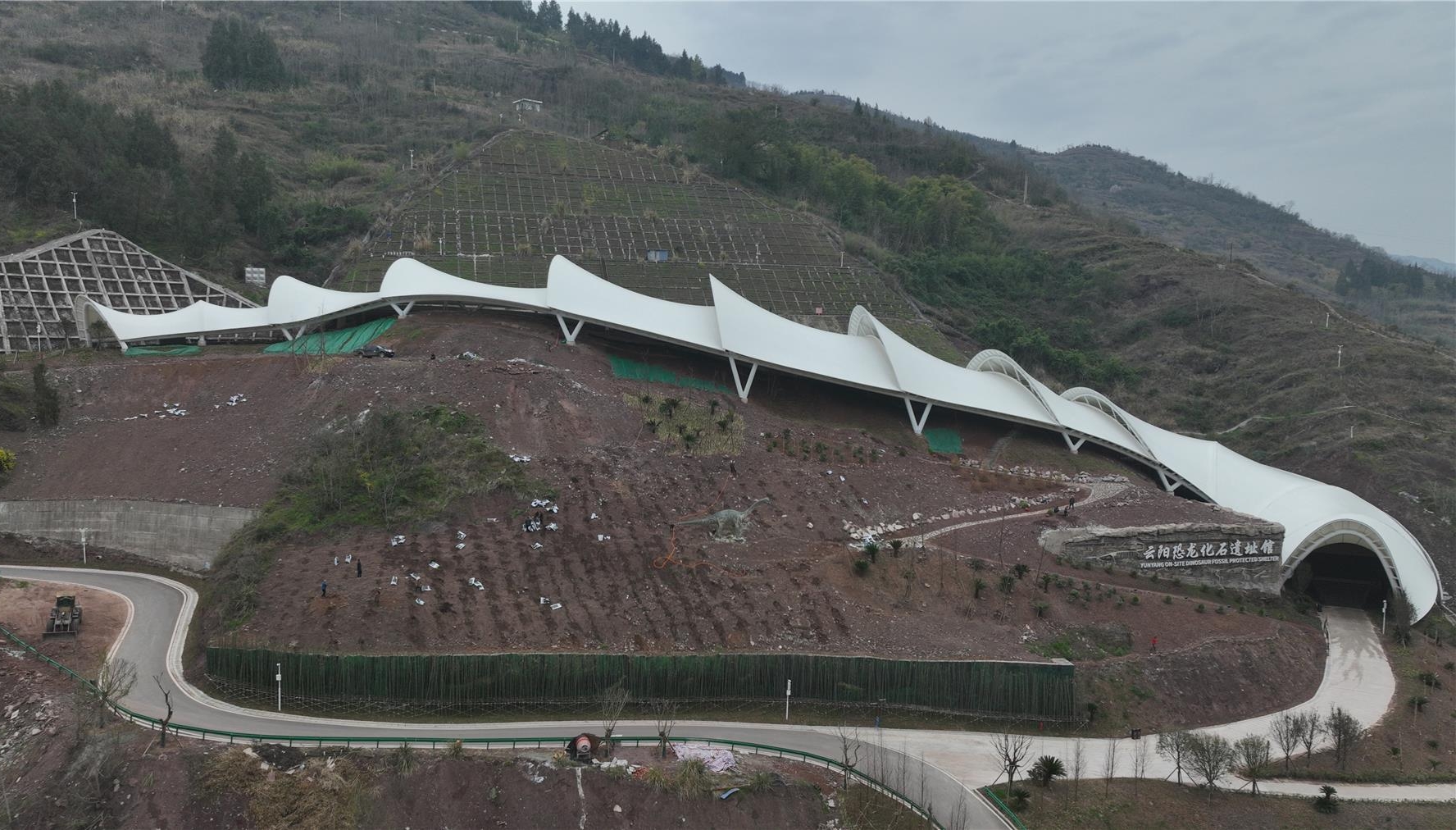  400余株崖柏樹苗“安家”云陽地質公園